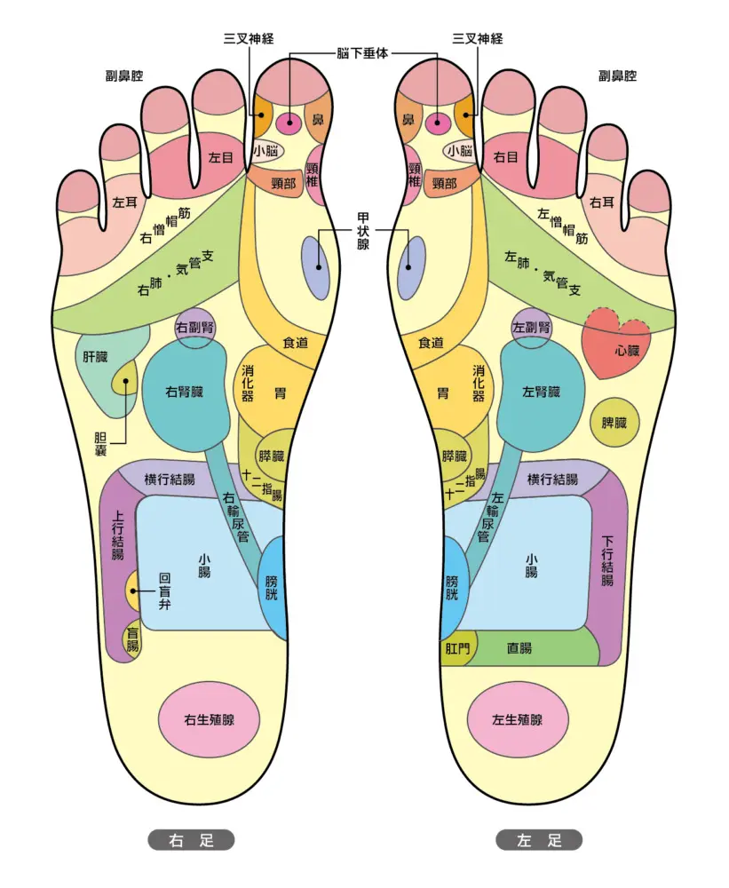 足つぼ×土踏まず】効果的なマッサージ方法と健康効果を解説！