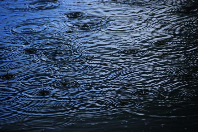 雨の日の地面に落ちる水滴