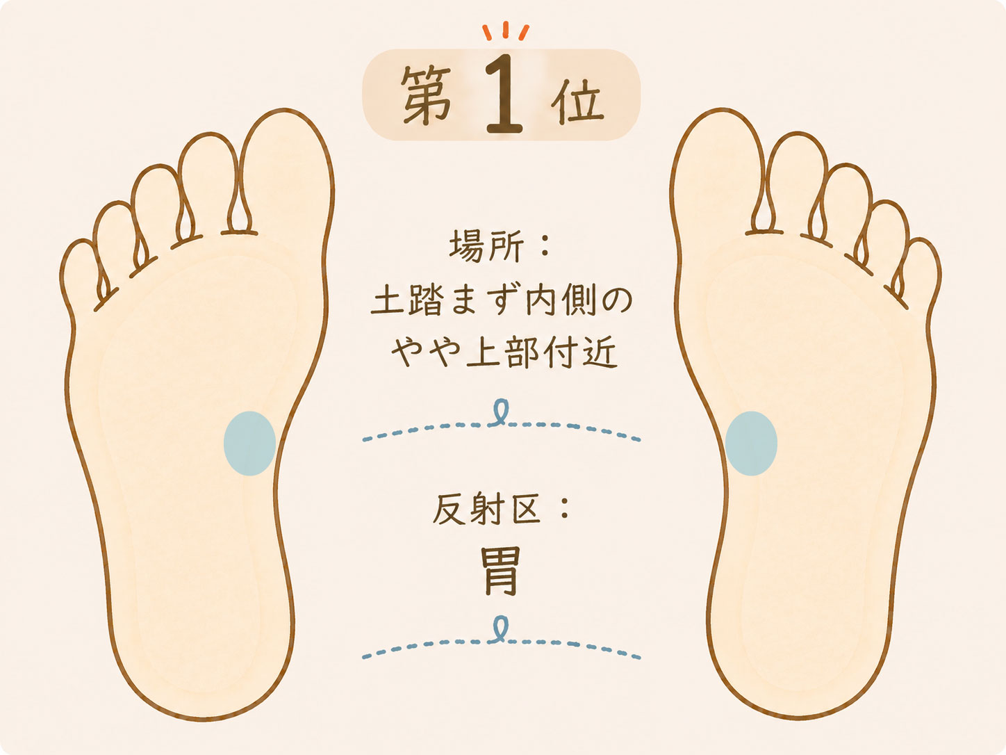 足つぼで痛みを感じやすい場所第1位、土踏まず内側のやや上部付近にある胃の反射区