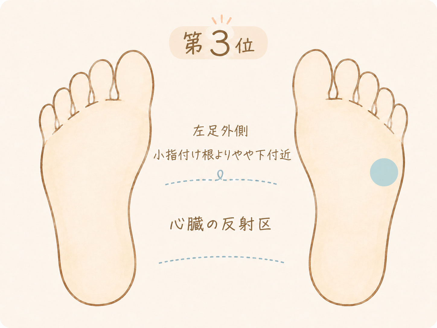 足つぼで痛みを感じやすい場所第3位、左足外側の小指付け根よりやや下付近にある心臓の反射区