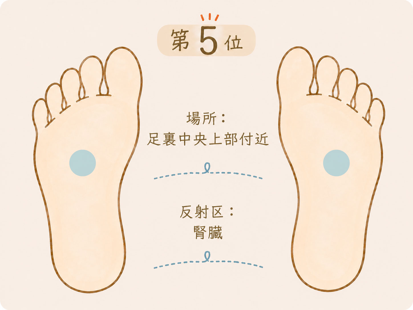 足つぼで痛みを感じやすい場所第5位、足裏中央上部付近の腎臓の反射区