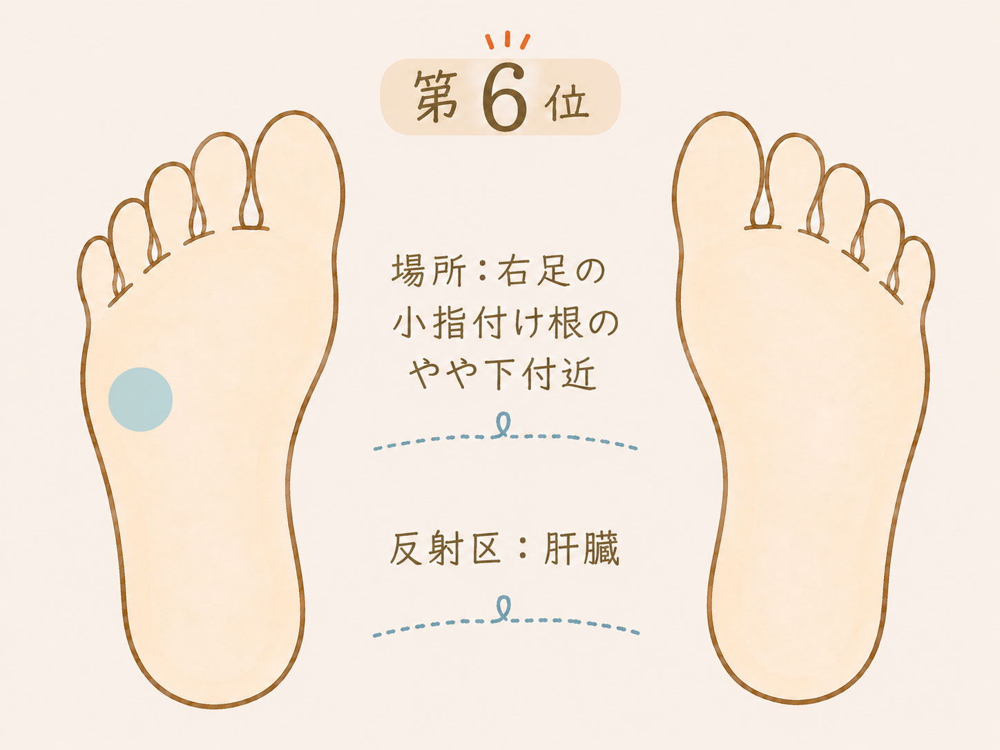足つぼで痛みを感じやすい場所第6位、右足の小指付け根よりやや下付近の肝臓の反射区
