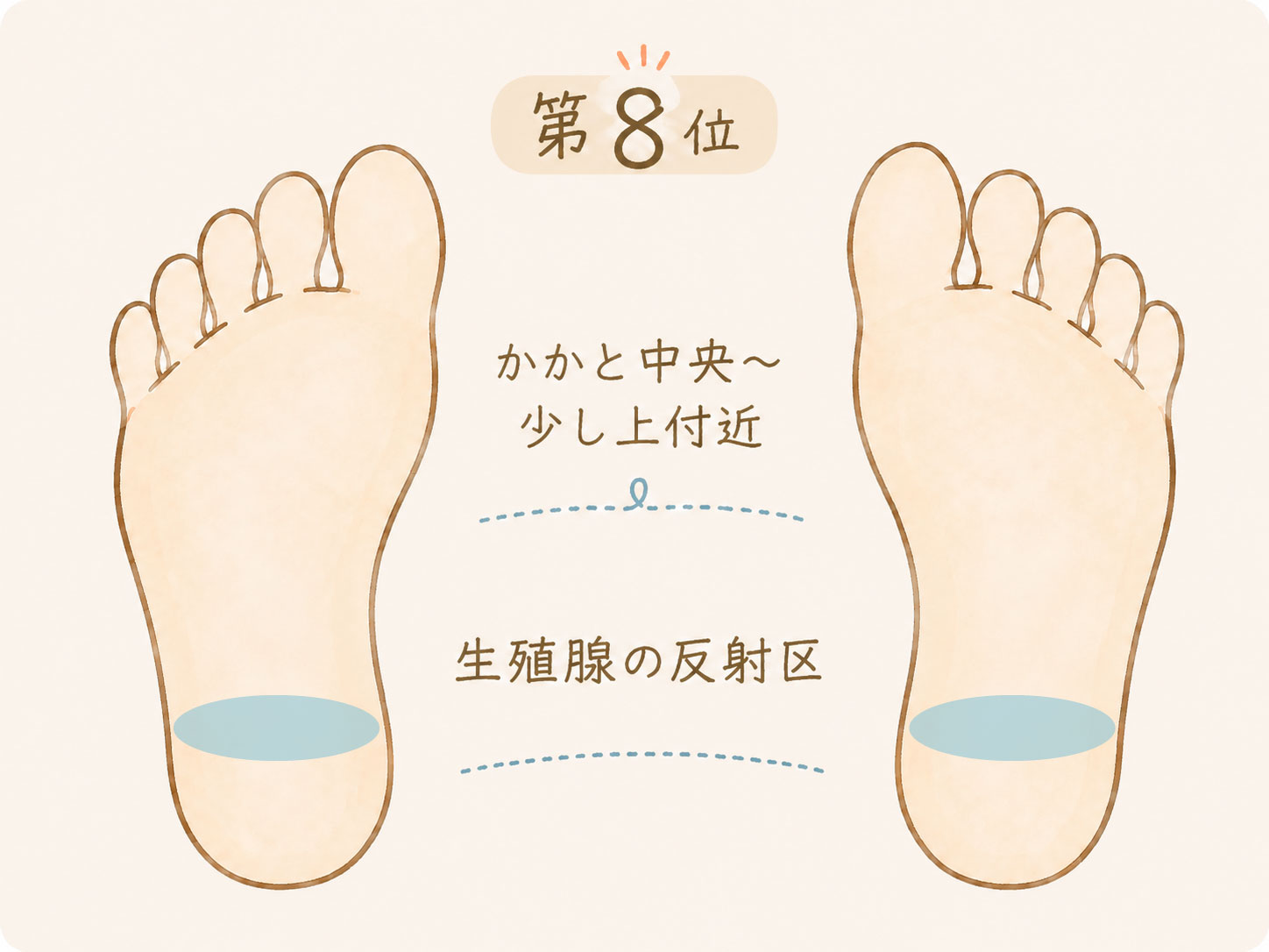足つぼで痛みを感じやすい場所第8位、かかと中央から少し上付近にある生殖腺の反射区