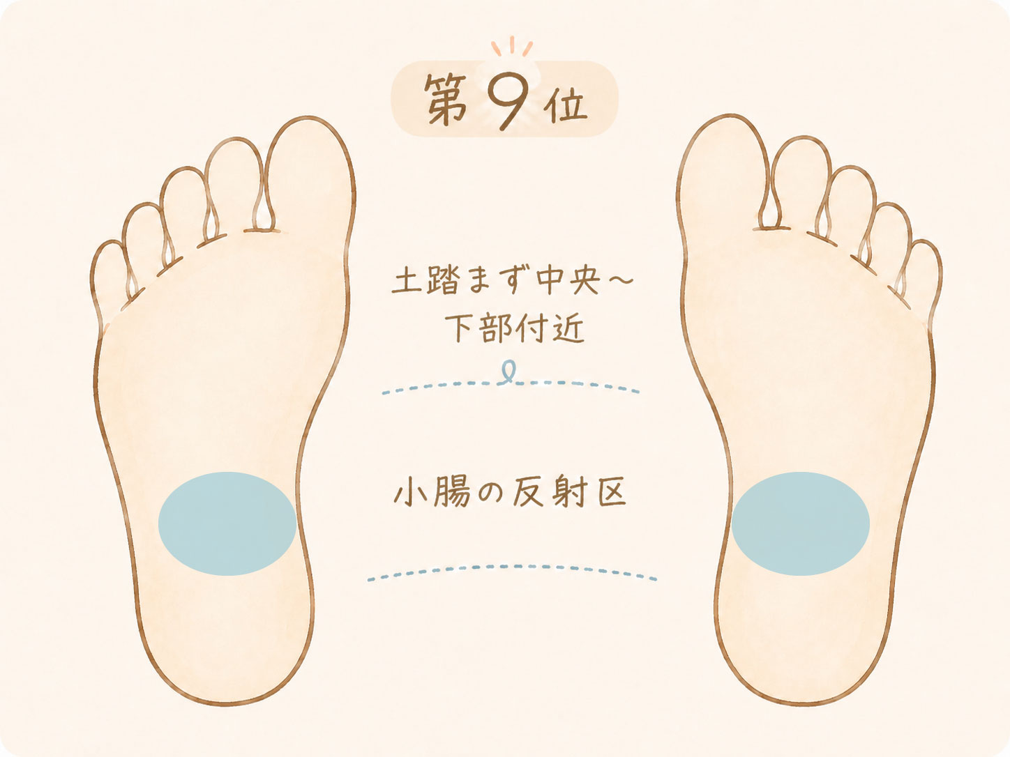足つぼで痛みを感じやすい場所第9位、土踏まず中央から下部付近の小腸の反射区