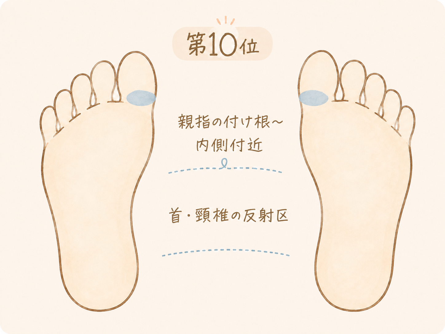 足つぼで痛みを感じやすい場所第10位、親指の付け根付近にある首・頸椎の反射区
