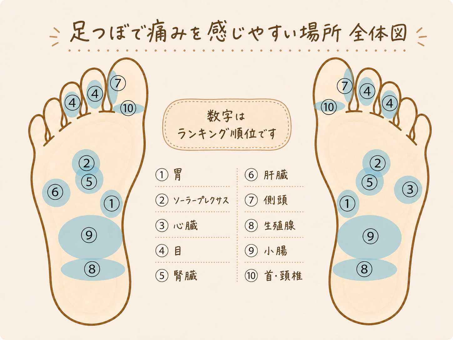 足つぼで痛みを感じやすい10か所のランキング全体図