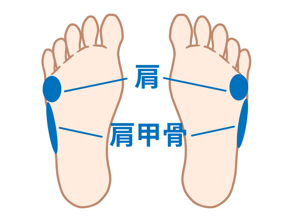 肩と肩甲骨を示した足裏のイラスト