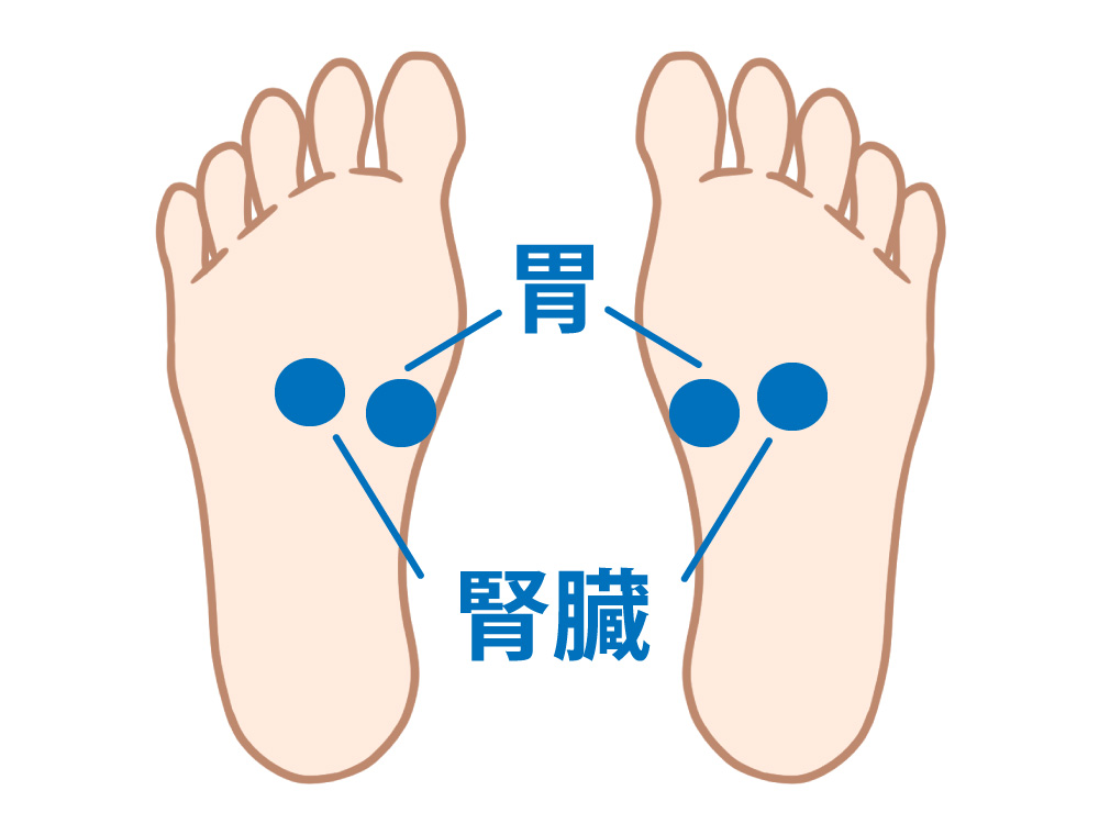 胃と腎臓の反射区をしました足裏のイラスト