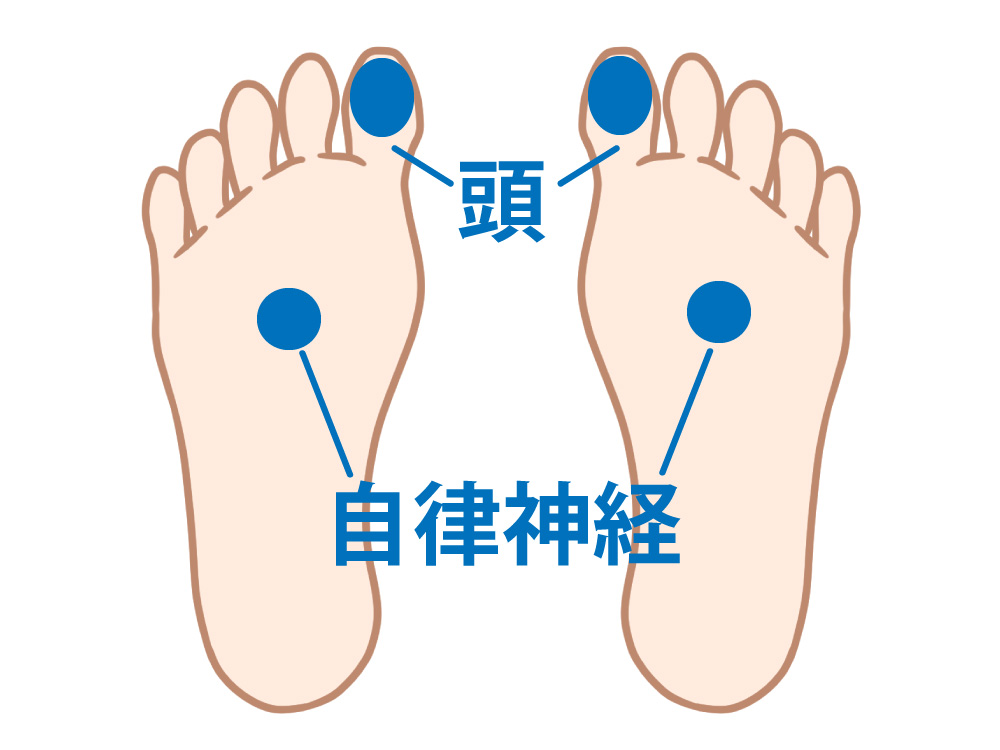 頭と自律神経を示した足裏のイラスト